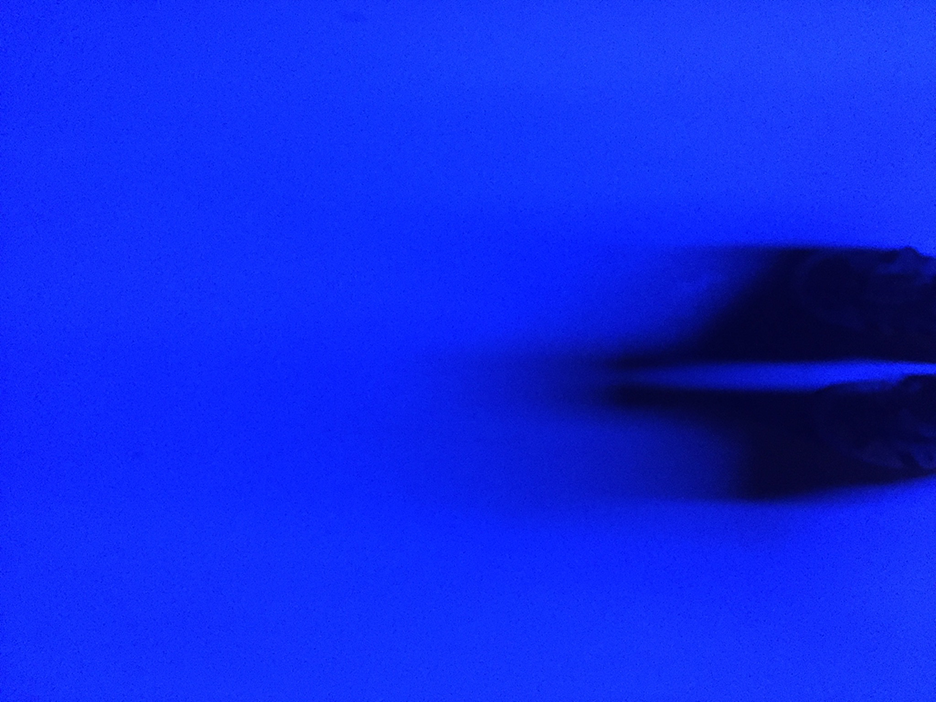 and-Blue Sued Shoes
